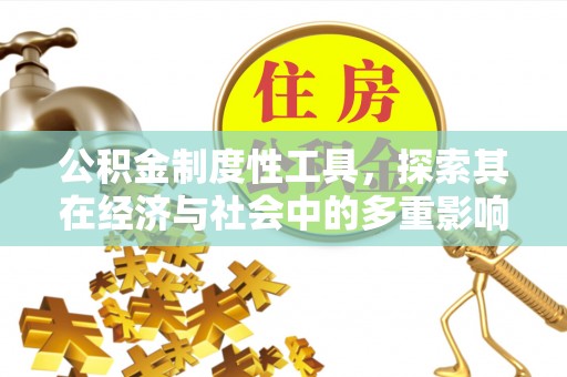 长葛公积金制度性工具，探索其在经济与社会中的多重影响