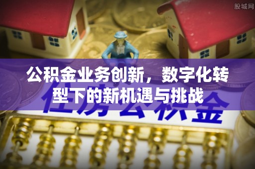 长葛公积金业务创新，数字化转型下的新机遇与挑战