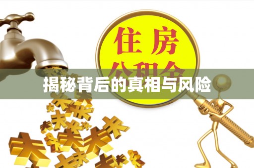 长葛揭秘背后的真相与风险