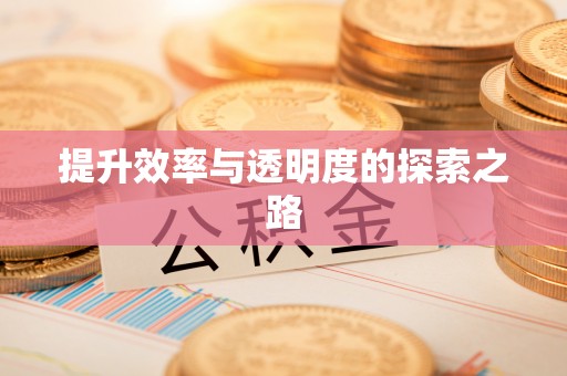 长葛提升效率与透明度的探索之路