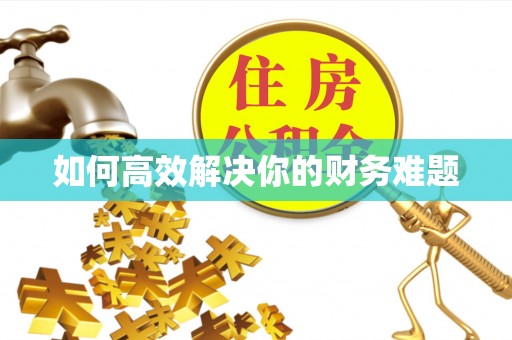 长葛如何高效解决你的财务难题