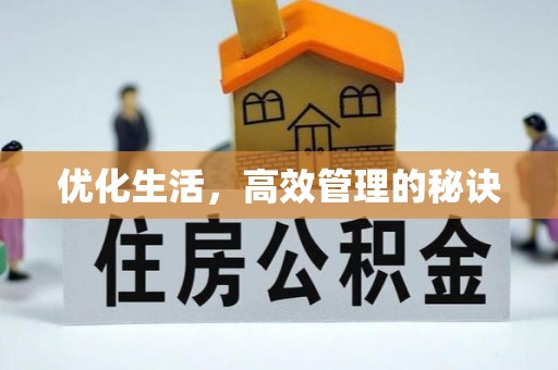 长葛优化生活，高效管理的秘诀