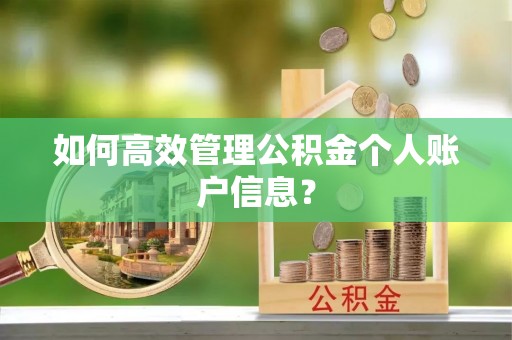 长葛如何高效管理公积金个人账户信息？