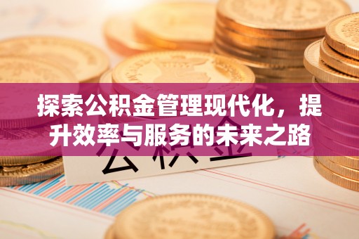 长葛探索公积金管理现代化，提升效率与服务的未来之路