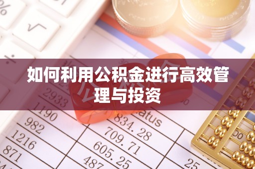 长葛如何利用公积金进行高效管理与投资