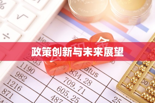 长葛政策创新与未来展望