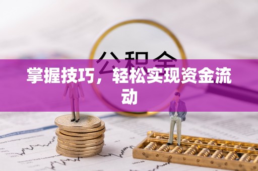 长葛掌握技巧，轻松实现资金流动